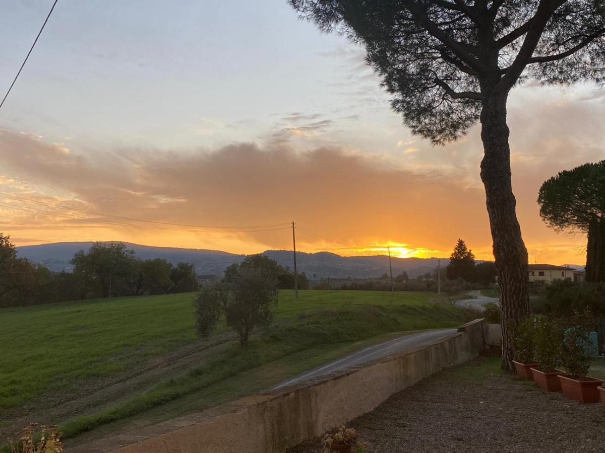 Tognazzi Casa Vacanze - La Collina Di San Gimignano Exteriör bild